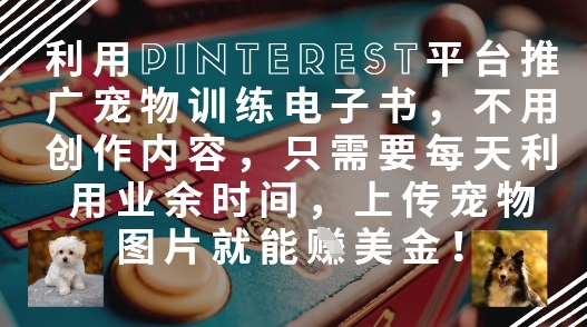 利用Pinterest平台推广宠物训练电子书，不用创作内容，只需要每天利用业余时间，上传宠物图片就能挣美金!-我爱自学网