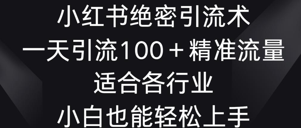 小红书绝密引流术，一天引流100+精准流量，适合各个行业，小白也能轻松上手【揭秘】-我爱自学网
