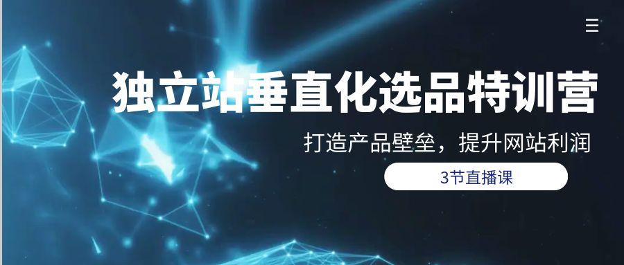 (9925期)独立站-垂直化选品训练营，打造产品壁垒，提升网站利润(3节直播课)-我爱自学网