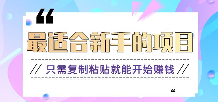 2024最适合新手操作的项目，新手小白只需复制粘贴就能开始赚钱【视频教程+软件】-我爱自学网
