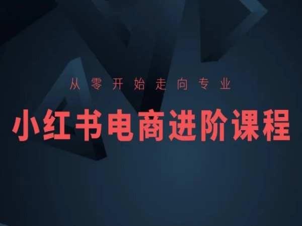 从零开始走向专业，小红书电商进阶课程-我爱自学网