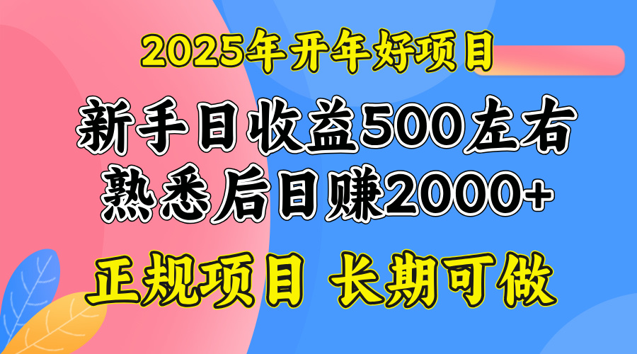 2025开年好项目，单号日收益2000左右-我爱自学网
