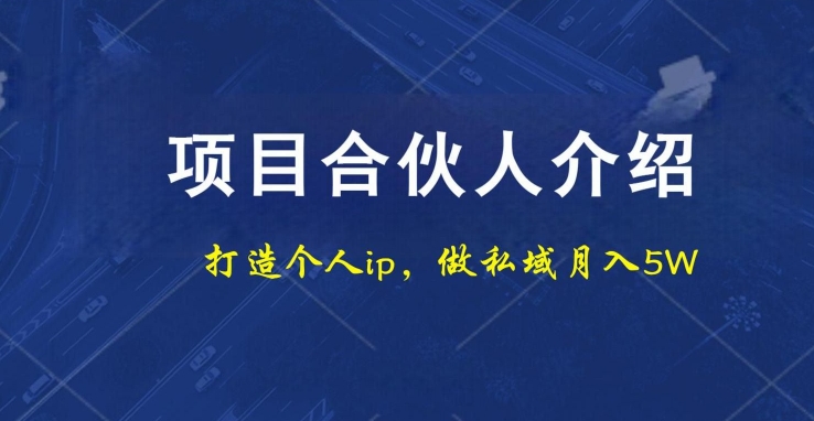 项目合伙人项目，打造个人IP，做私域月入5W，小白勿扰-我爱自学网