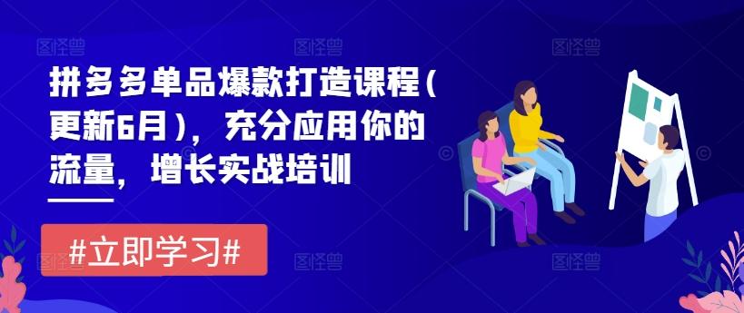 拼多多单品爆款打造课程(更新6月)，充分应用你的流量，增长实战培训-我爱自学网