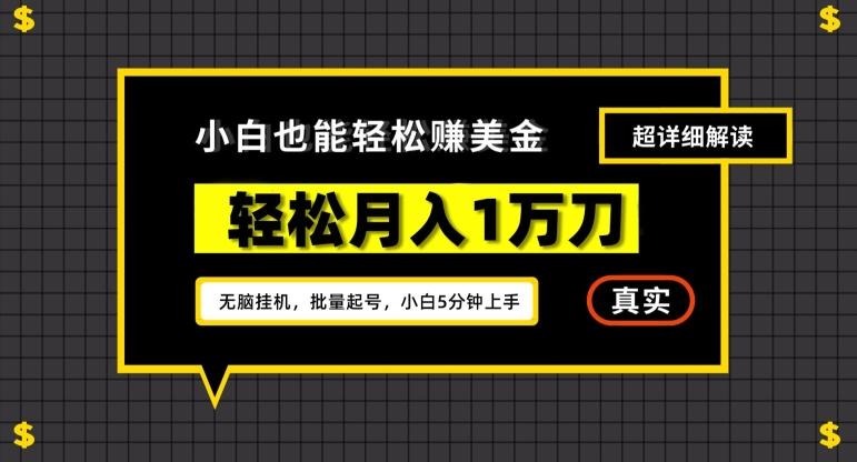 谷歌看广告撸美金2.0，无脑挂机，多号操作，月入1万刀【揭秘】-我爱自学网