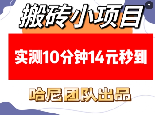 搬砖小项目，实测10分钟14元秒到，每天稳定几张(赠送必看稳定)-我爱自学网