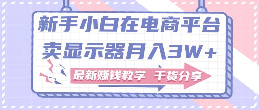 新手小白如何做到在电商平台卖显示器月入3W+，最新赚钱教学干货分享-我爱自学网