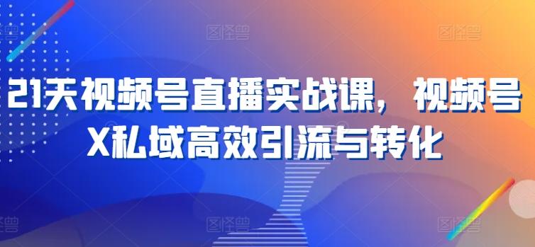 21天视频号直播实战课，视频号X私域高效引流与转化-我爱自学网