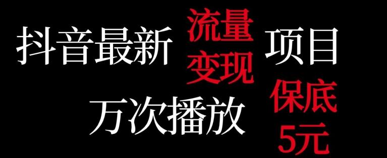 抖音流量变现，万次播放保底5元，额外收入-我爱自学网
