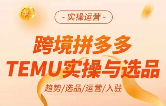 跨境拼多多TEMU实操与选品，多多temu跨境选品运营实操-我爱自学网