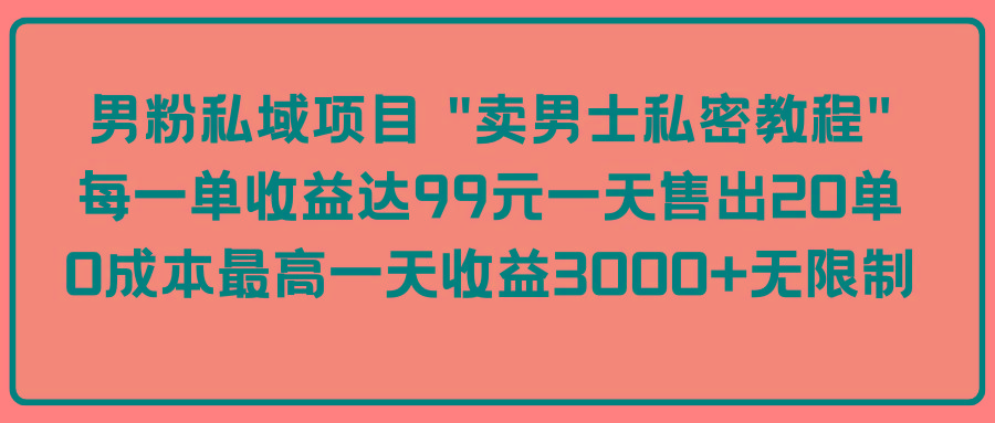 (9730期)男粉私域项目 “卖男士私密教程” 每一单收益达99元一天售出20单-我爱自学网