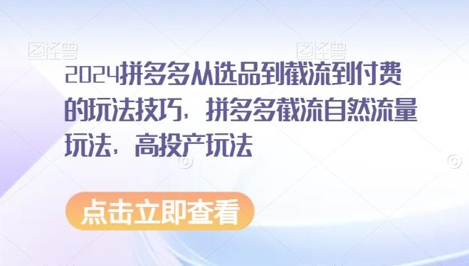 2024拼多多从选品到截流到付费的玩法技巧，拼多多截流自然流量玩法，高投产玩法-我爱自学网