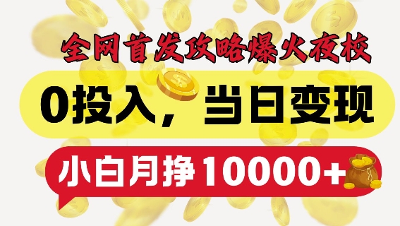 全网首发爆火夜校，0投入，当日变现，小白轻松月入1w+【揭秘】-我爱自学网
