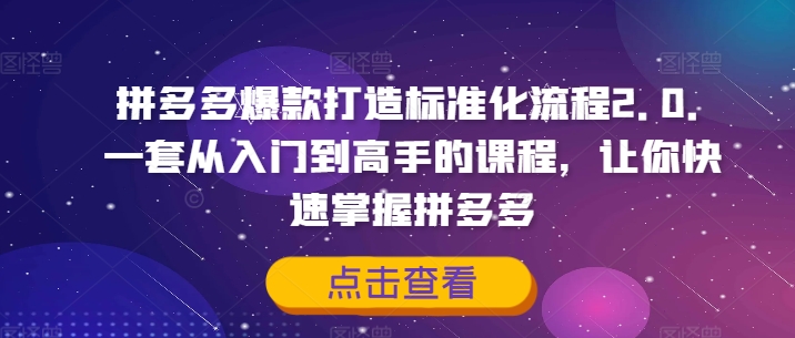拼多多爆款打造标准化流程2.0，一套从入门到高手的课程，让你快速掌握拼多多-我爱自学网