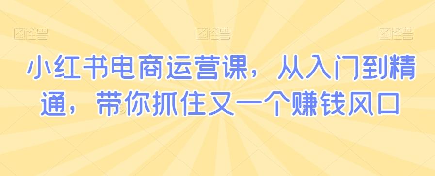 小红书电商运营课，从入门到精通，带你抓住又一个赚钱风口-我爱自学网