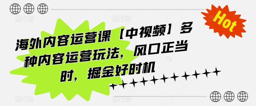 海外内容运营课【中视频】多种内容运营玩法，风口正当时，掘金好时机-我爱自学网