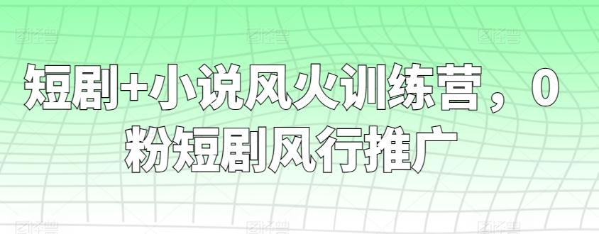 短剧+小说风火训练营，0粉短剧风行推广-我爱自学网