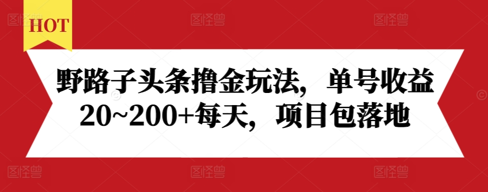 野路子头条撸金玩法，单号收益20~200+每天，项目包落地-我爱自学网