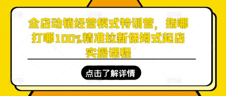 全店动销经营模式特训营，指哪打哪100%精准拉新保姆式起店实操课程-我爱自学网
