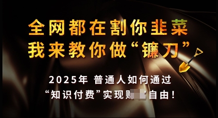 知识付费如何做到月入过W+，2025我来教你做“镰刀”【揭秘】-我爱自学网