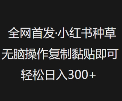 全网首发，小红书种草无脑操作，复制黏贴即可，轻松日入3张-我爱自学网