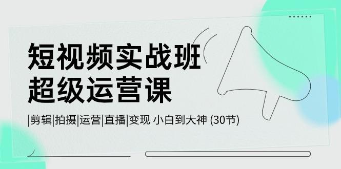 短视频实战班超级运营课 |剪辑|拍摄|运营|直播|变现 小白到大神 (30节)-我爱自学网