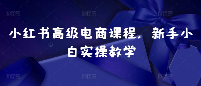 小红书高级电商课程，新手小白实操教学-我爱自学网