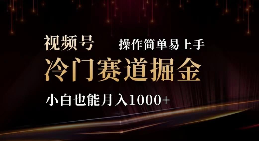 2024视频号冷门赛道掘金，操作简单轻松上手，小白也能月入1000+-我爱自学网