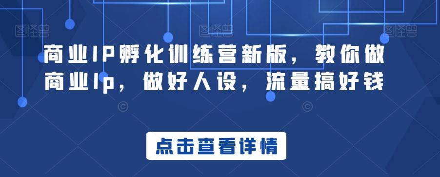 商业IP孵化训练营新版，教你做商业Ip，做好人设，流量搞好钱-我爱自学网