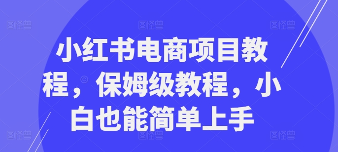 小红书电商项目教程，保姆级教程，小白也能简单上手-我爱自学网