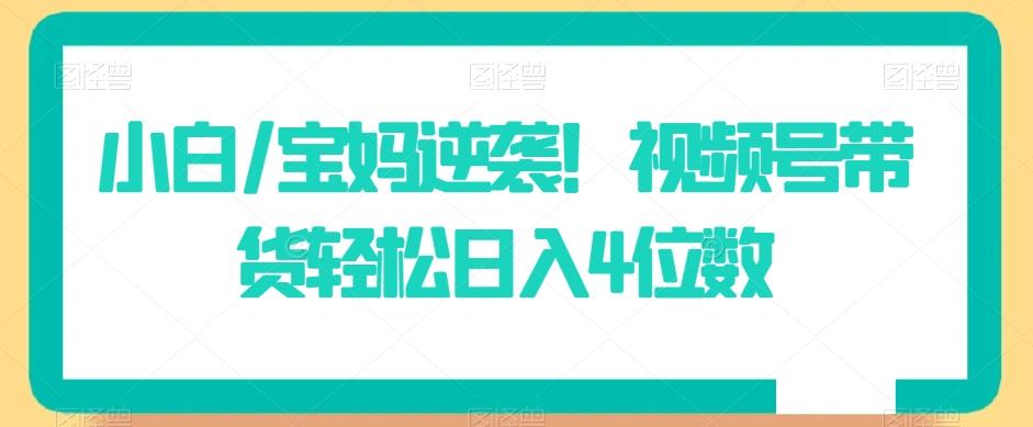 小白/宝妈逆袭！视频号带货轻松日入4位数【揭秘】-我爱自学网