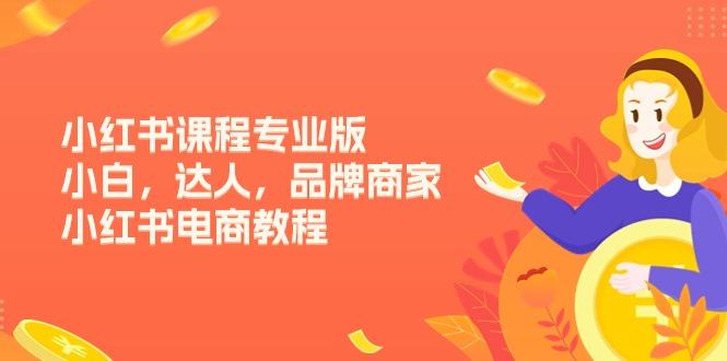 小红书课程专业版，小白，达人，品牌商家，小红书电商教程(15节-我爱自学网