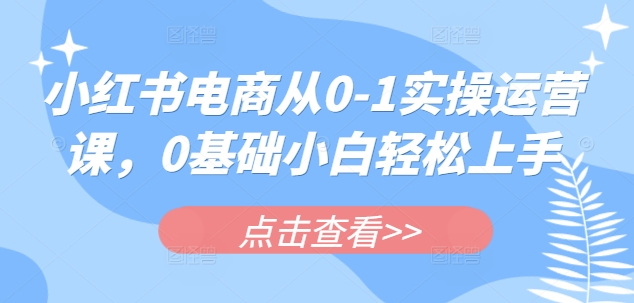 小红书电商从0-1实操运营课，0基础小白轻松上手-我爱自学网