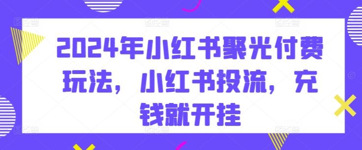 2024年小红书聚光付费玩法，小红书投流，充钱就开挂-我爱自学网
