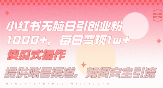 小红书无脑每日引流创业粉500+，小白每天只花半小时，躺赚长尾收益【揭秘】-我爱自学网