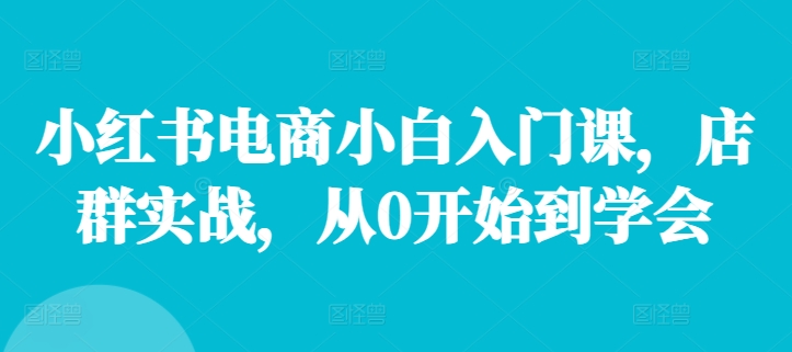小红书电商小白入门课，店群实战，从0开始到学会-我爱自学网