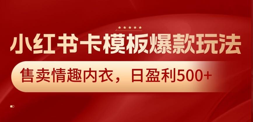 小红书卡模板爆款玩法，售卖情趣内衣，日盈利500+【揭秘】-我爱自学网