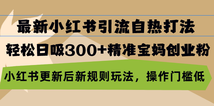 最新小红书引流自热打法，轻松日吸300+精准宝妈创业粉，小红书更新后新…-我爱自学网