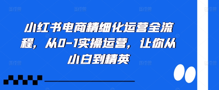 小红书电商精细化运营全流程，从0-1实操运营，让你从小白到精英-我爱自学网