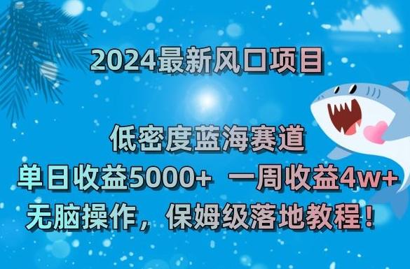 2024最新风口项目，低密度蓝海赛道，单日收益5000+，一周收益4w+！【揭秘】-我爱自学网