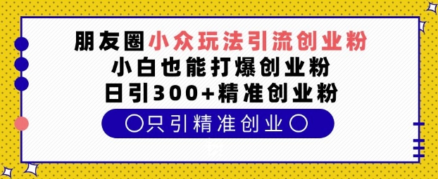 朋友圈小众玩法引流创业粉，小白也能打爆创业粉，日引300+精准创业粉【揭秘】-我爱自学网