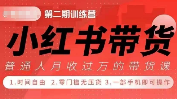 小Red书带货42天训练营 2.0版，宝妈+自由职+上班族+大学生，提高副业收入的大红利项目-我爱自学网