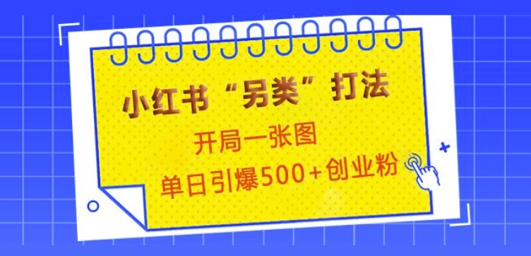 小红书“另类”打法，开局一张图，单日引爆500+精准创业粉【揭秘】-我爱自学网