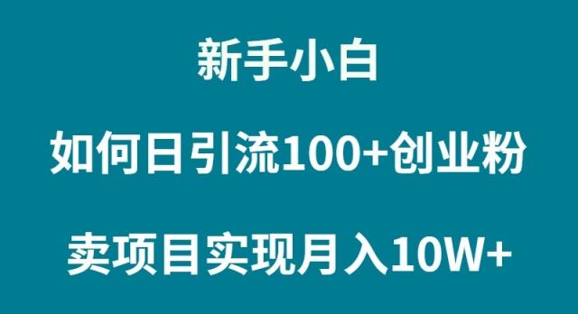 (9556期)新手小白如何通过卖项目实现月入10W+-我爱自学网