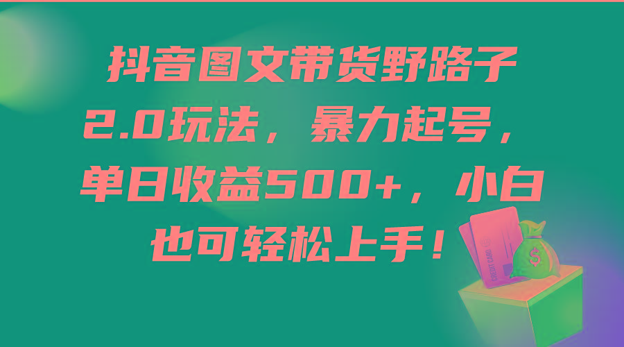 (9790期)抖音图文带货野路子2.0玩法，暴力起号，单日收益500+，小白也可轻松上手！-我爱自学网
