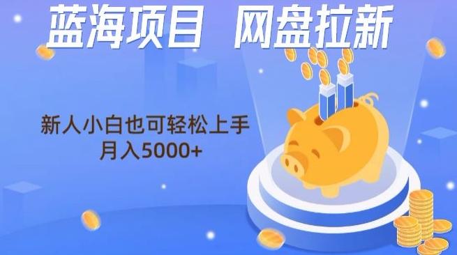 蓝海项目网盘拉新，新人小白也可操作，每月收入5000+-我爱自学网