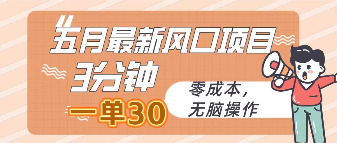 五月最新风口项目，3分钟一单30，零成本，无脑操作-我爱自学网