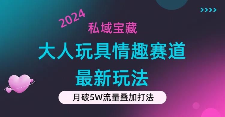 私域宝藏：大人玩具情趣赛道合规新玩法，零投入，私域超高流量成单率高-我爱自学网