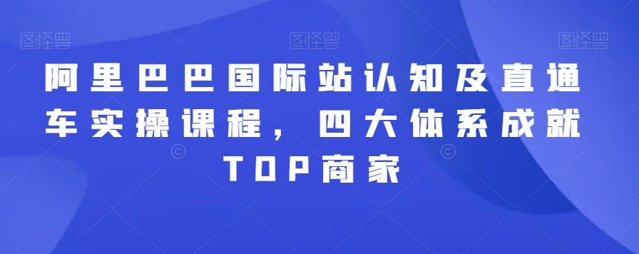 阿里巴巴国际站认知及直通车实操课程，四大体系成就TOP商家-我爱自学网