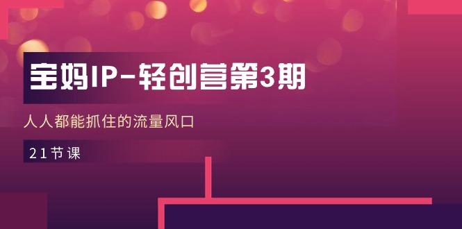 宝妈IP-轻创营第3期，人人都能抓住的流量风口(21节课-我爱自学网